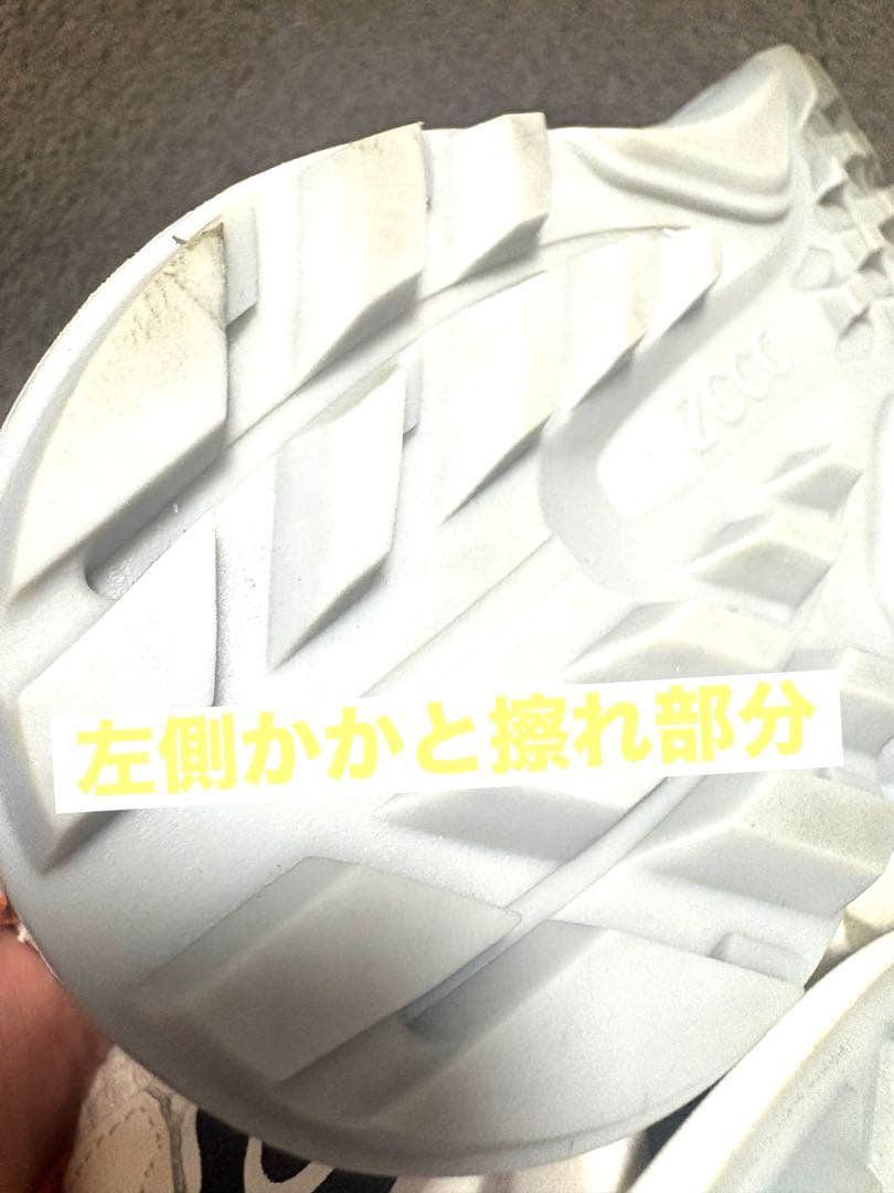ecco BOAシステム搭載 ゴルフシューズ　BIOM C4 ゴアテックス仕様