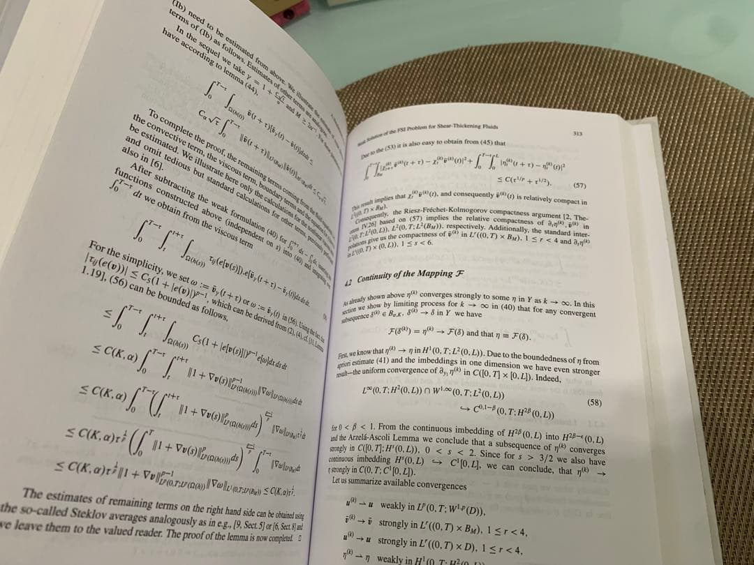 Recent Developments of Mathematical…