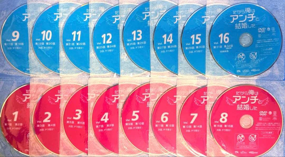 だから俺はアンチと結婚した DVD全16巻 チェ・テジュン /スヨン（少女時代）