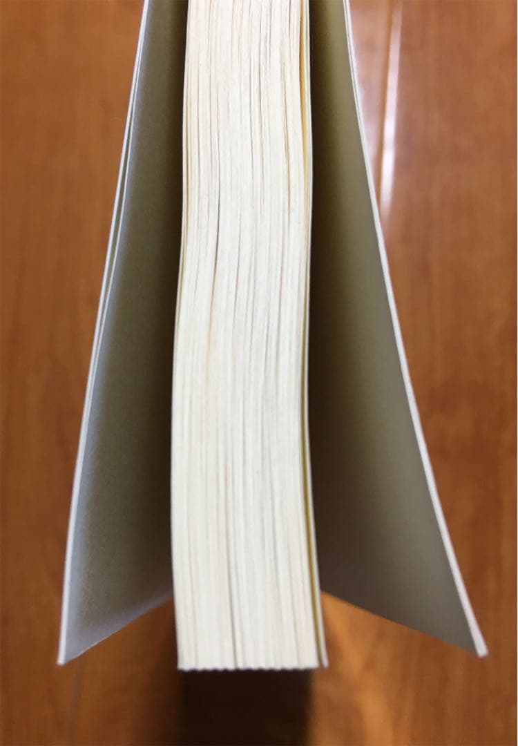 簡易裁判所における刑事公判の理論と実務　★美品・稀少品★