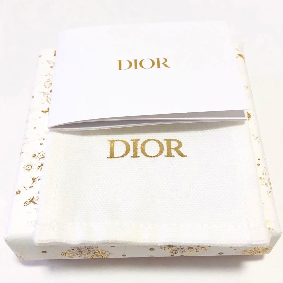 Dior 2021 シーガーデン バタフライ ピアス 片耳用 A254009