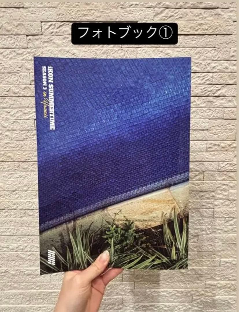 K-POP・アジア iKON SUMMERTIME in Hawaii DVD