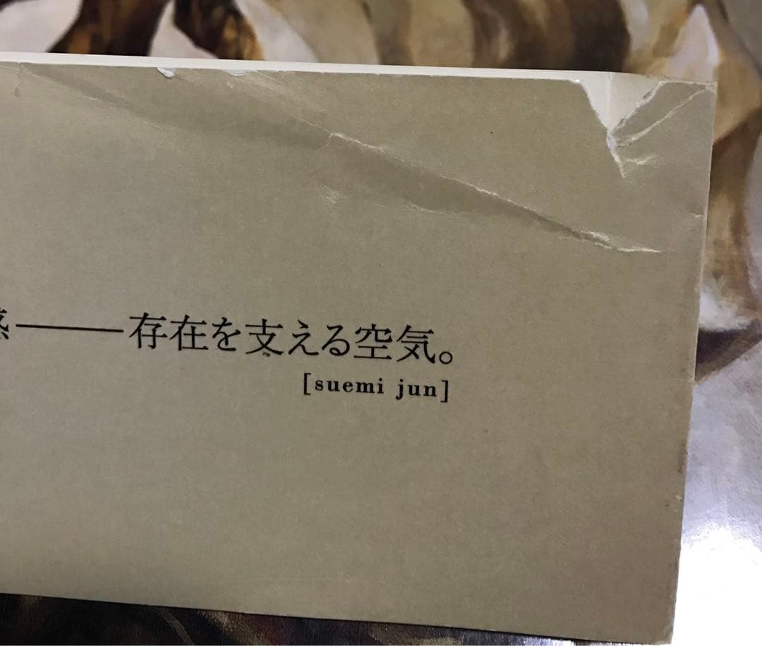 末弥純画集3冊 まとめ売り