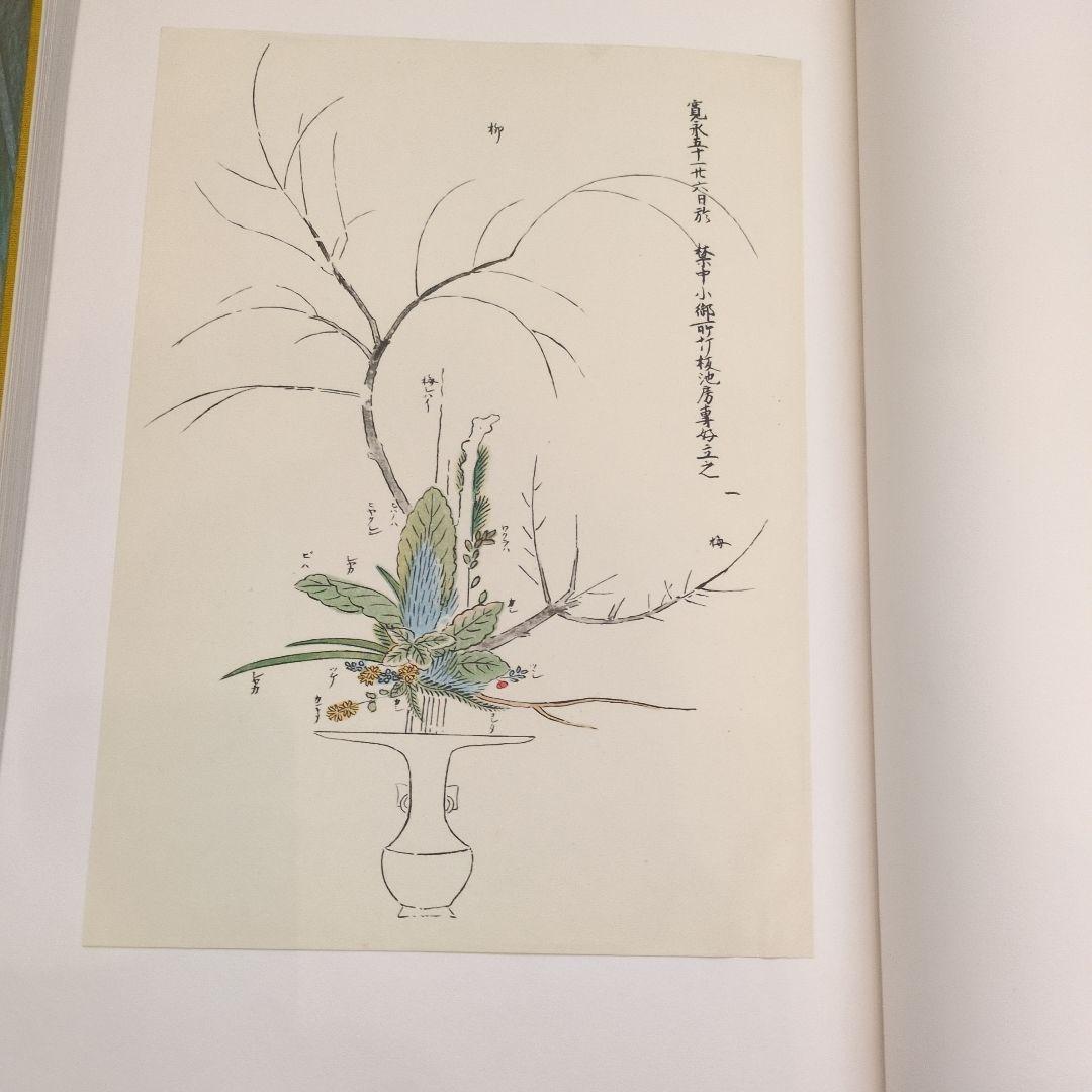 立花 アートブック 講談社　池坊