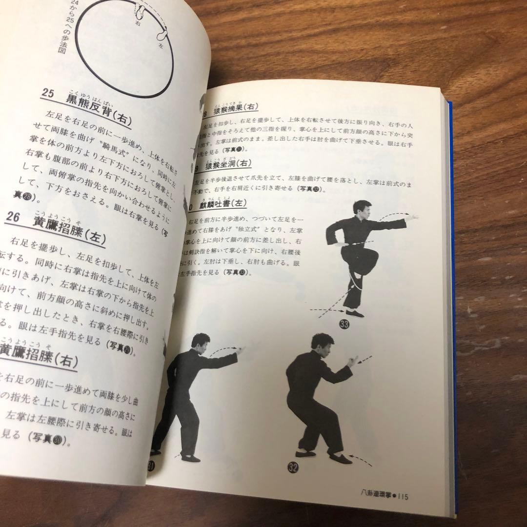 神秘の拳法 八卦掌入門 松田隆智 日東書院本社