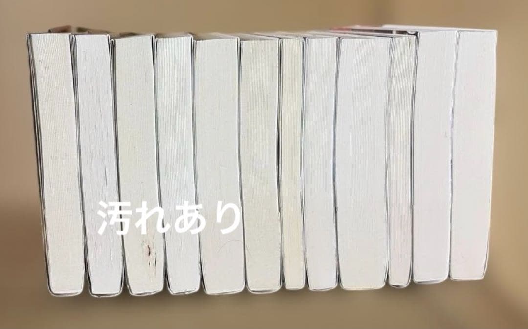 トワイライトシリーズ 全巻 ➕ミッドナイト・サン 上下巻 （中巻欠け）全12冊