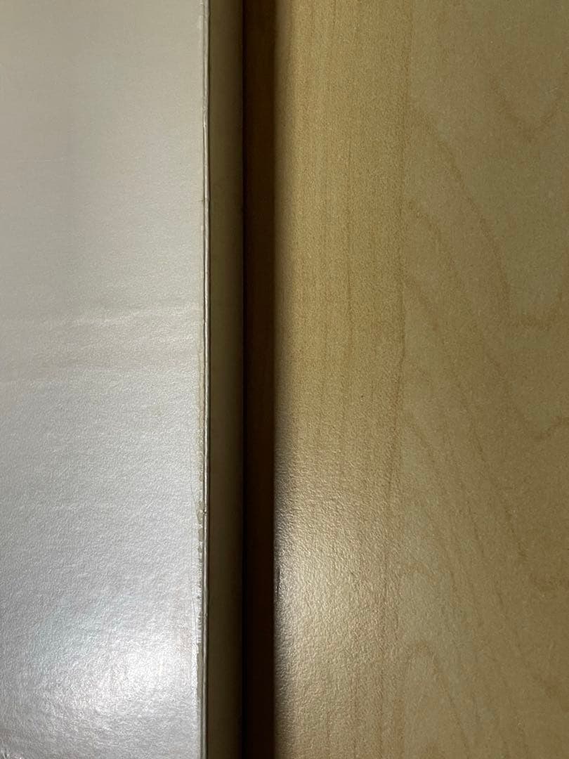 柳沢信　写真