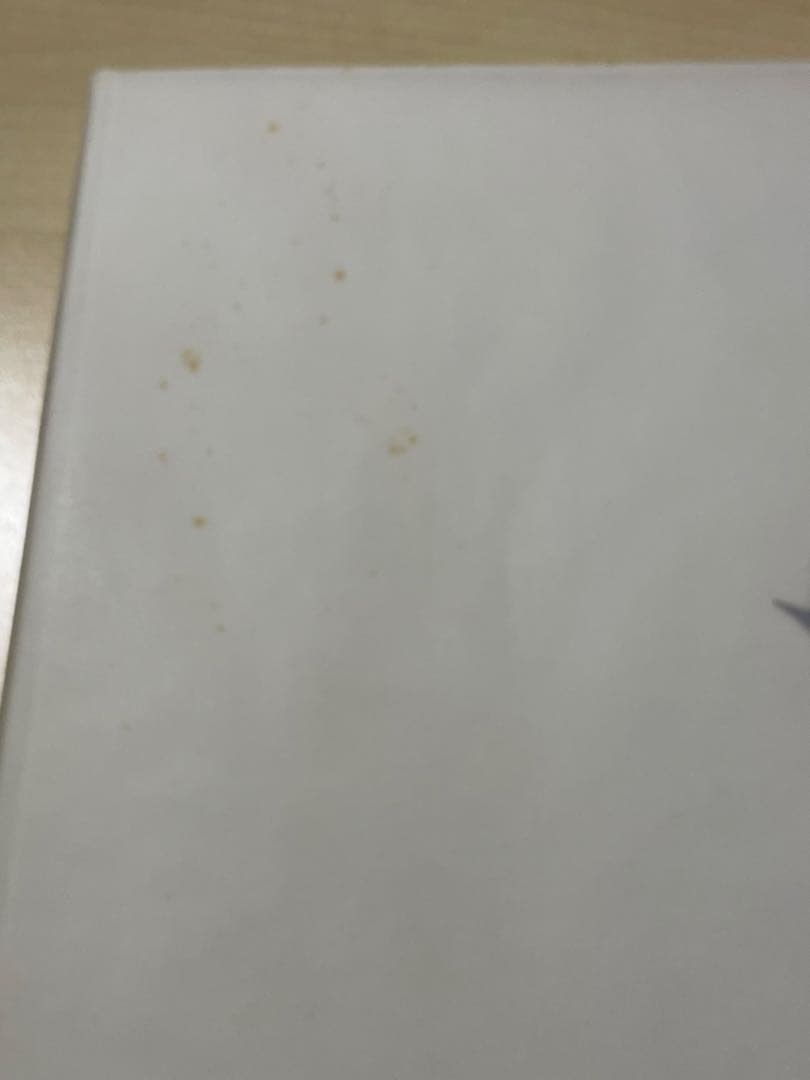 柳沢信　写真