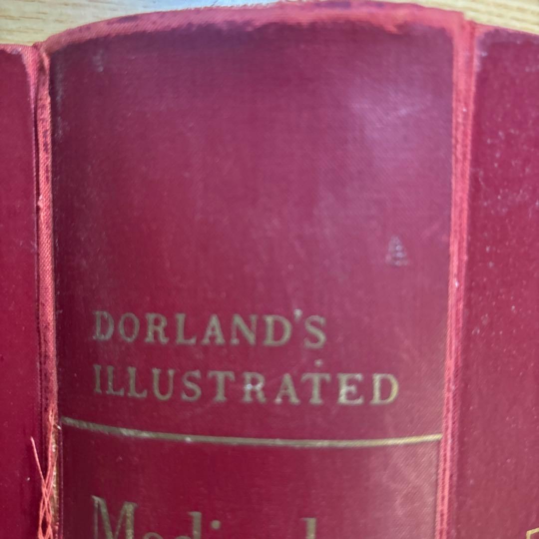 健康・医学 Dorland's Illustrated Medical Dictionary