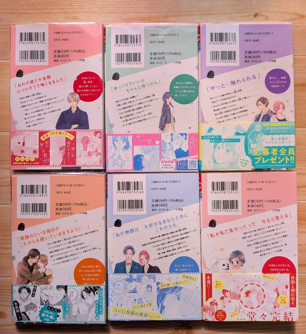☆本日限定価格☆主人恋日記　全巻セット