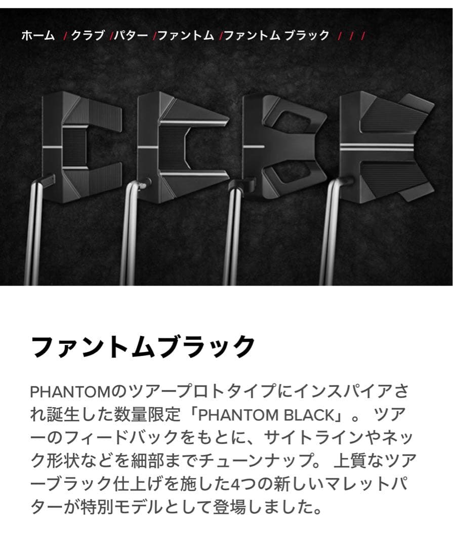 PHANTOM BLACK 5.5 パター ブラック