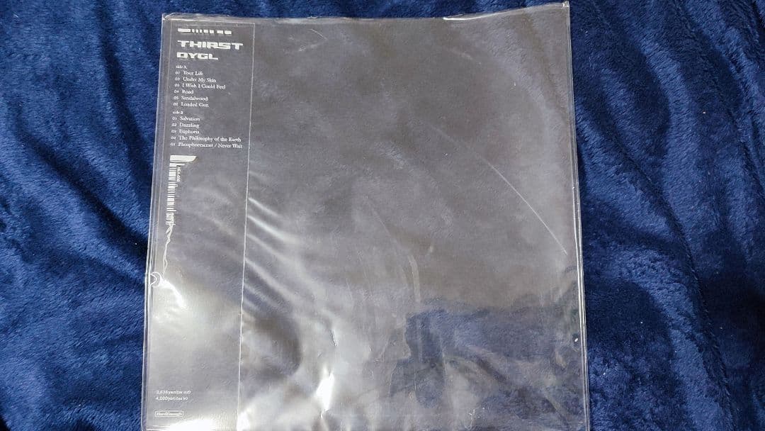 DYGL レコード　アナログ　2枚セット