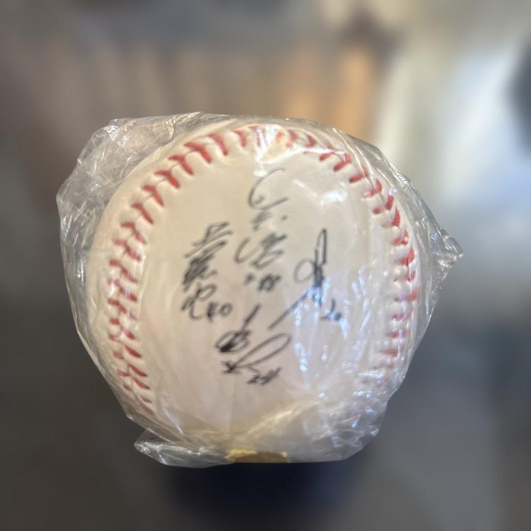 1991年 CARP セントラルリーグチャンピオンシップ 優勝記念ボール