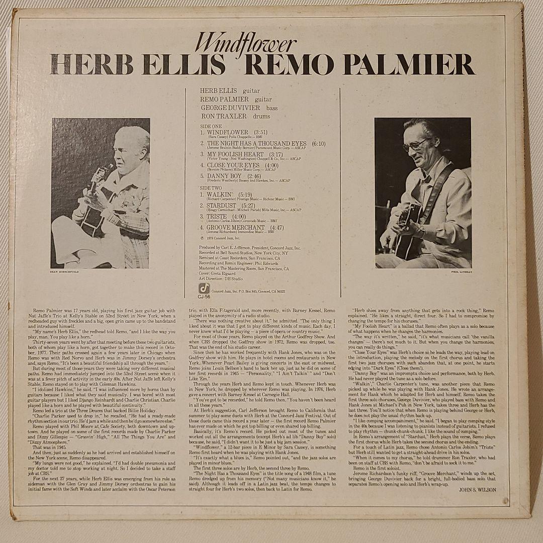 【USオリ】Windflower Herb Ellis Remo Palmier