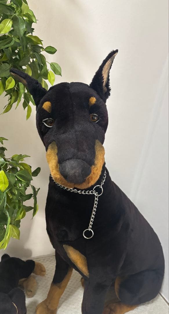 犬　ドーベルマン　リアル　ジョックライン 高さ約88cm イタリア製