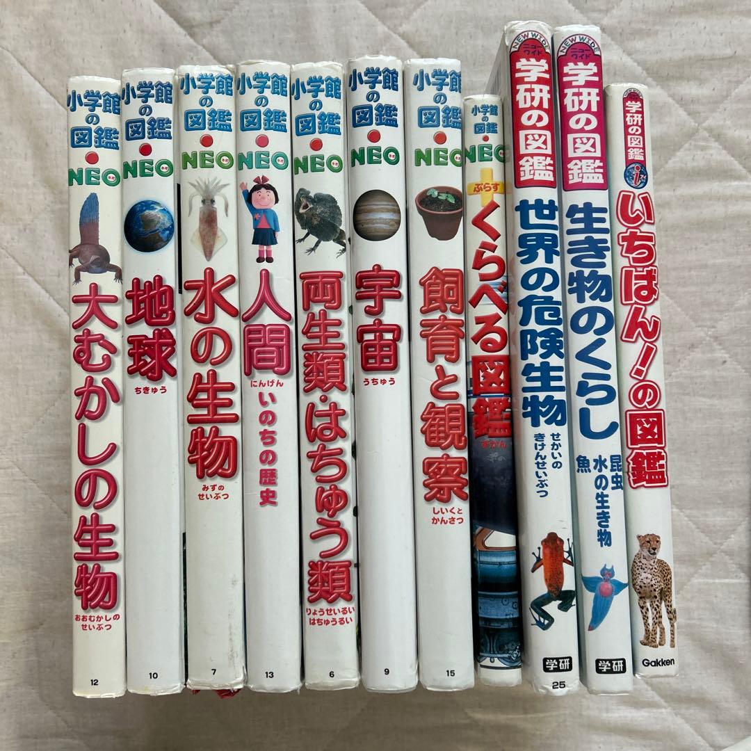 あかちゃんからの絵本　約50冊セット＋かるた