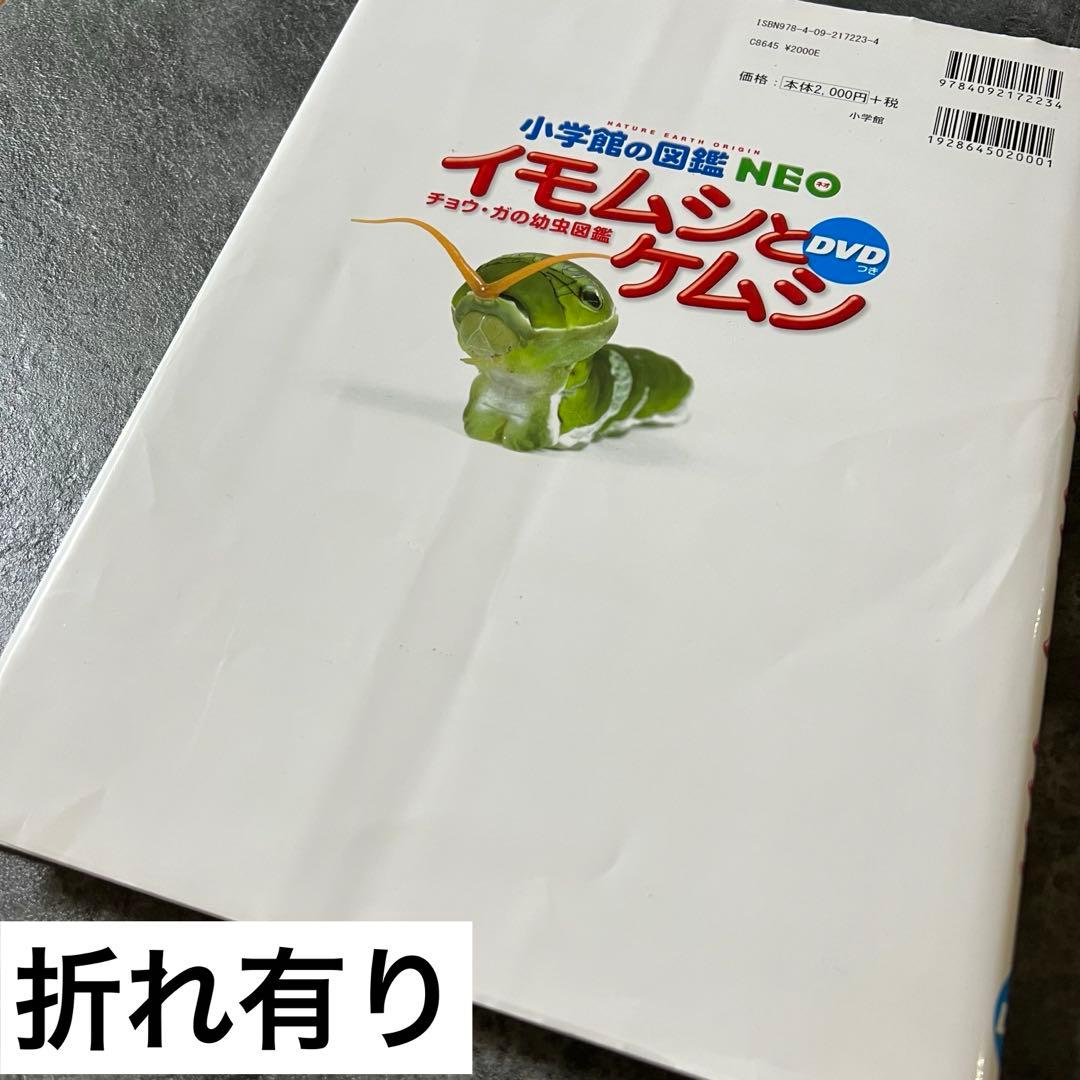 【本日まで❗️】小学館 図鑑 NEO 14冊セット DVD未開封・下敷やマップ付有