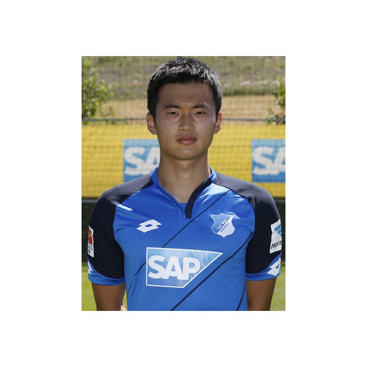 選手用 ホッフェンハイム16/17(H)キム・ジンス  元アルビレックス新潟