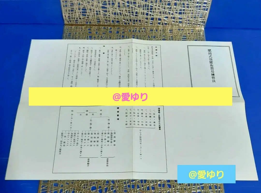 再版原本♦肥田春充『肥田式天真療法═純生理学的自然療法の真髄═』♦付録＆押印有り