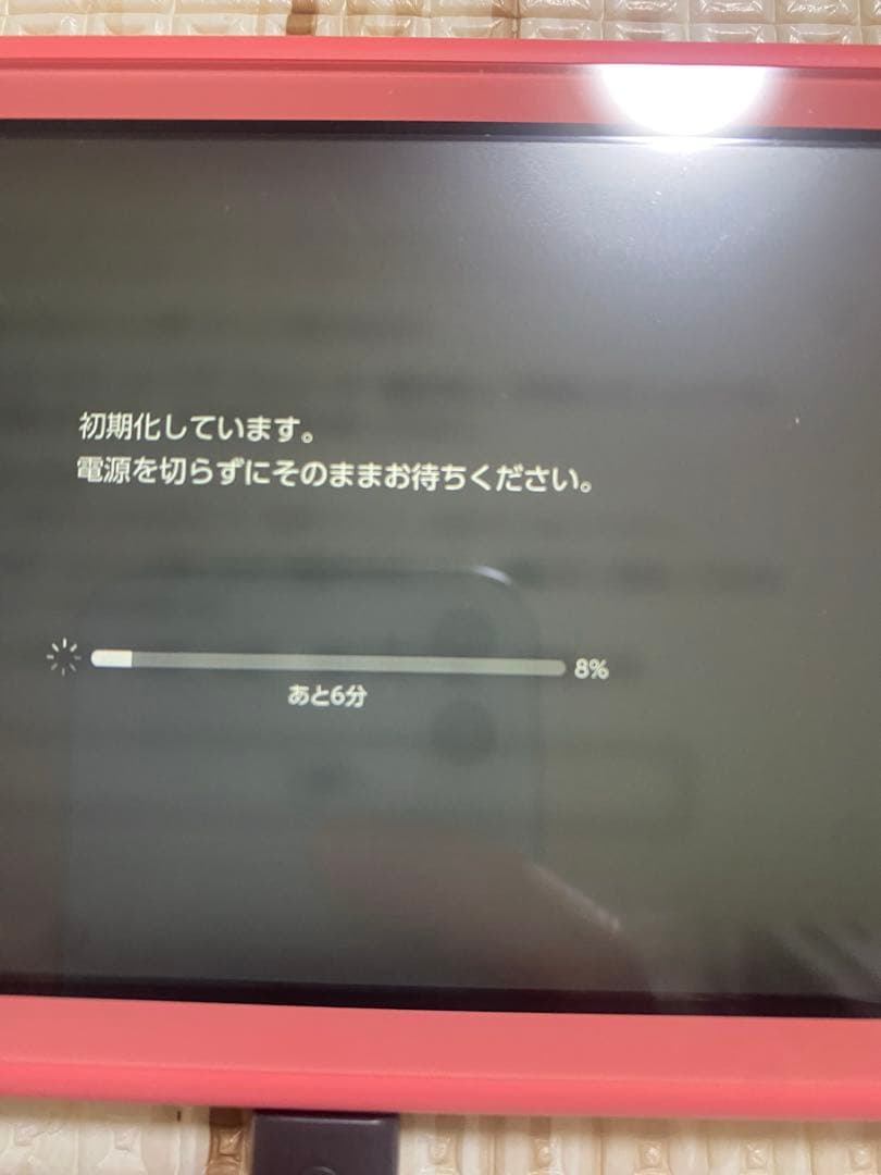 【美品】Nintendo Switch Lite ピンク 充電器付き