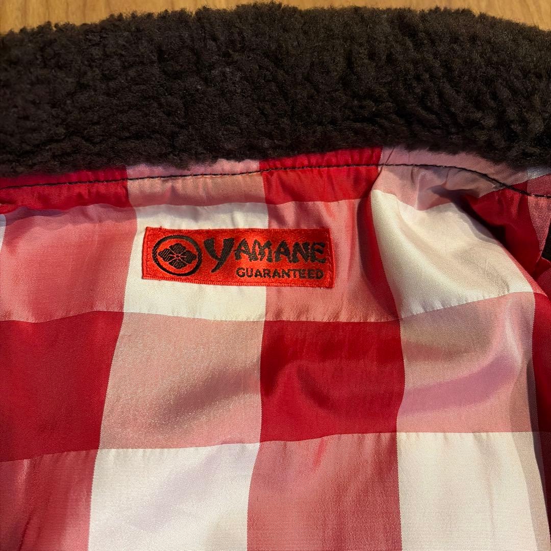 専用　極美品　yamane evisu g-1 サイズ38 エヴィス