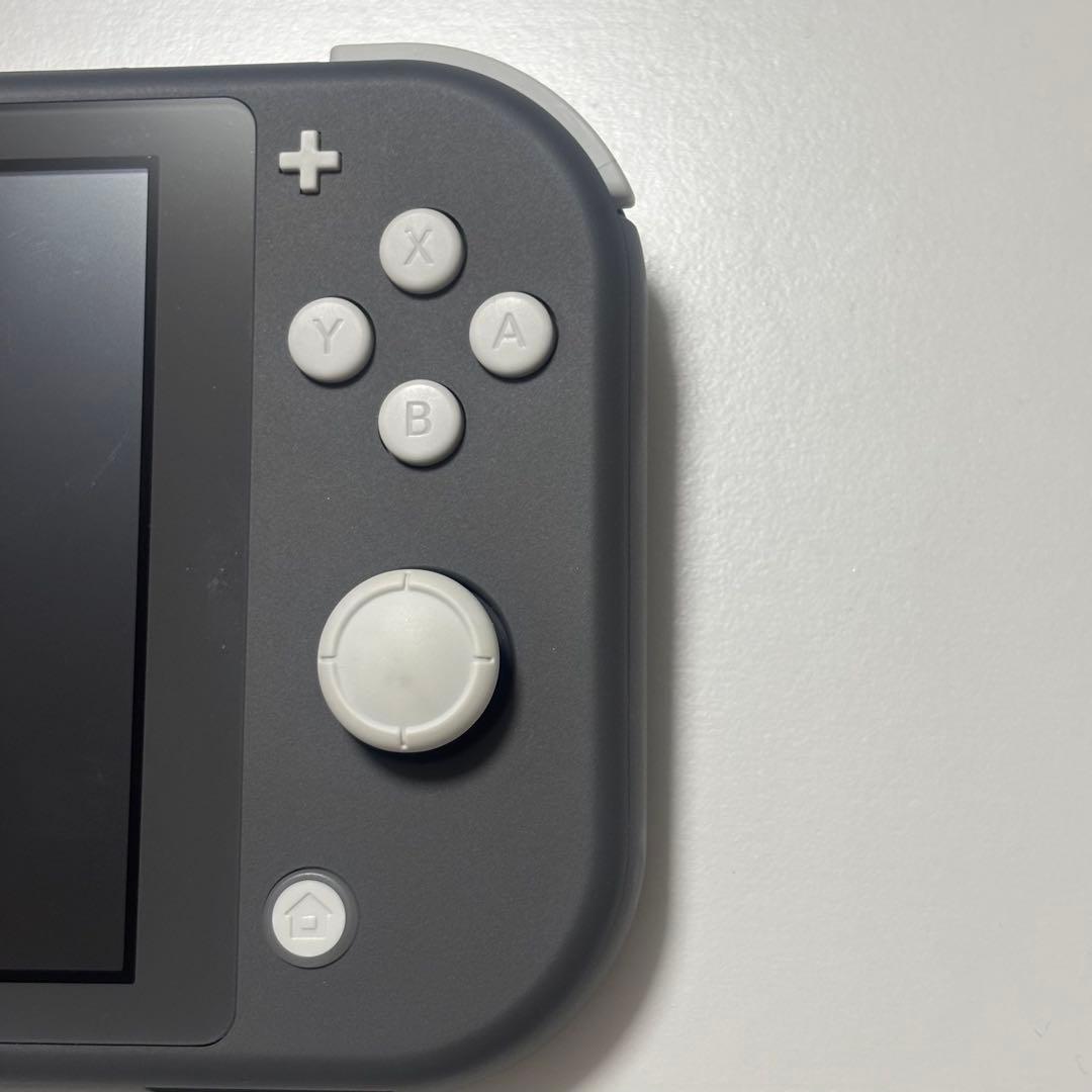 Nintendo Switch Lite グレー 本体　充電器付き