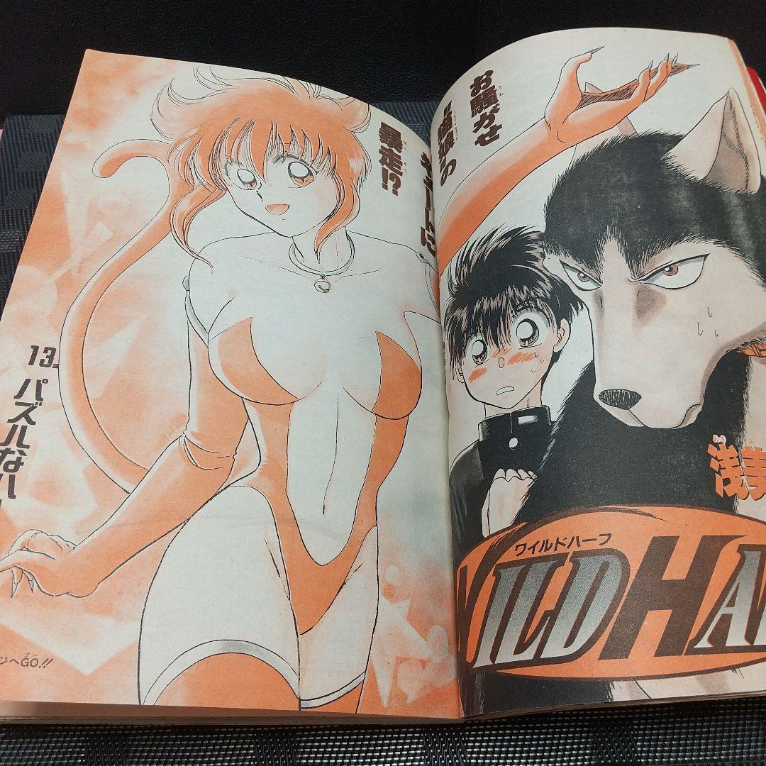 週刊少年ジャンプ 1996年17号※スラムダンクオールカラー※ぬ～べ～ Cカラー