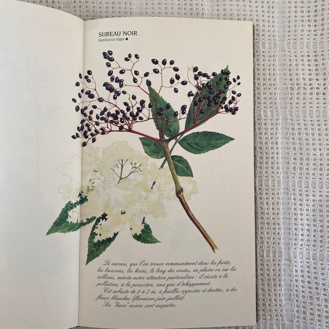 【希少】美品 フランス植物図鑑　洋書　古書