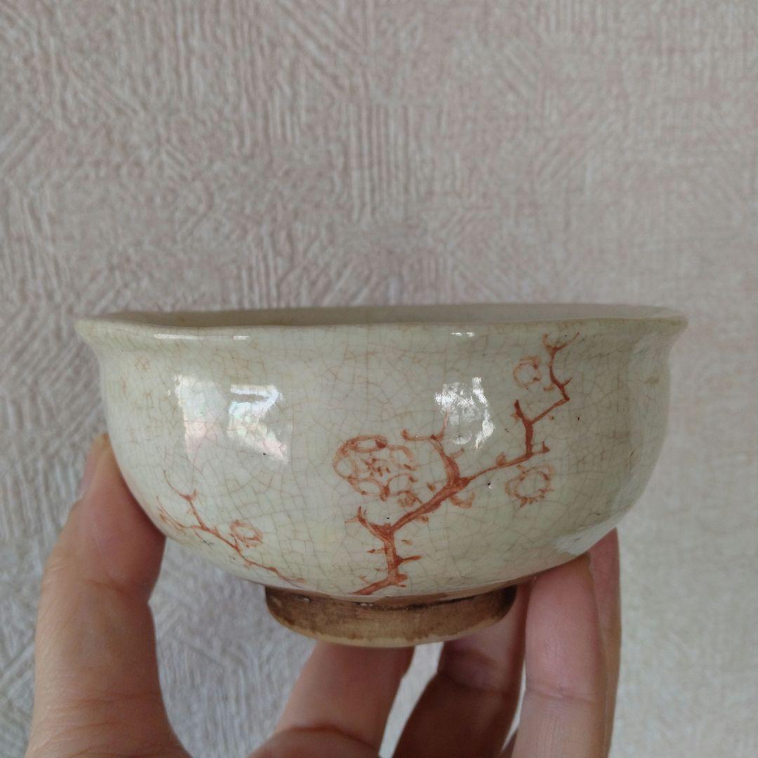 《maruです。》御深井焼梅の図蓋付茶碗