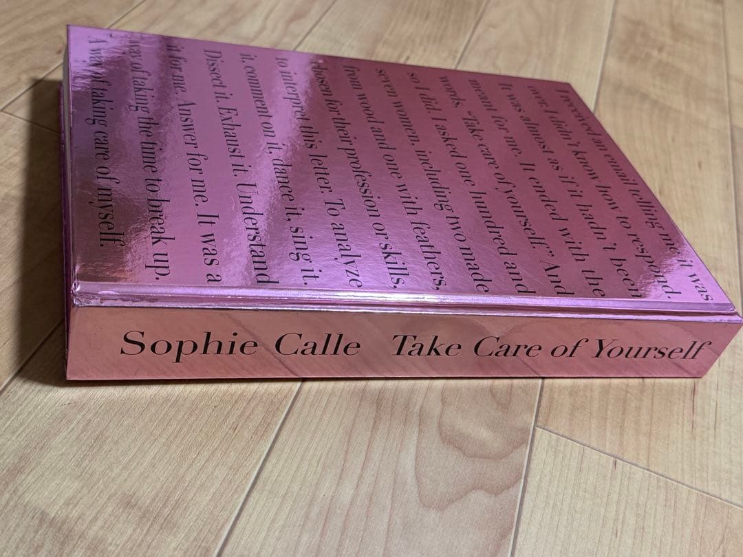 アート・デザイン・音楽 Sophie Calle Take Care of Yourself