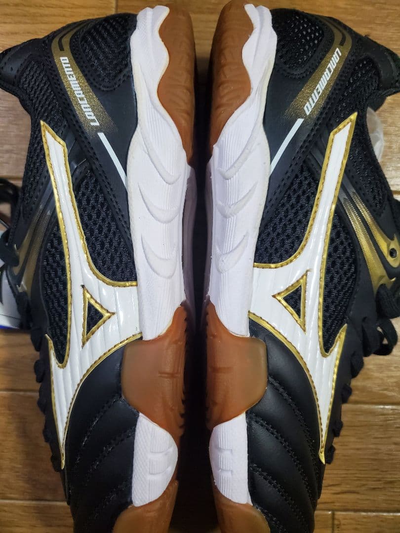 Mizuno ランゲメントウェーブプロ4 25.5cm