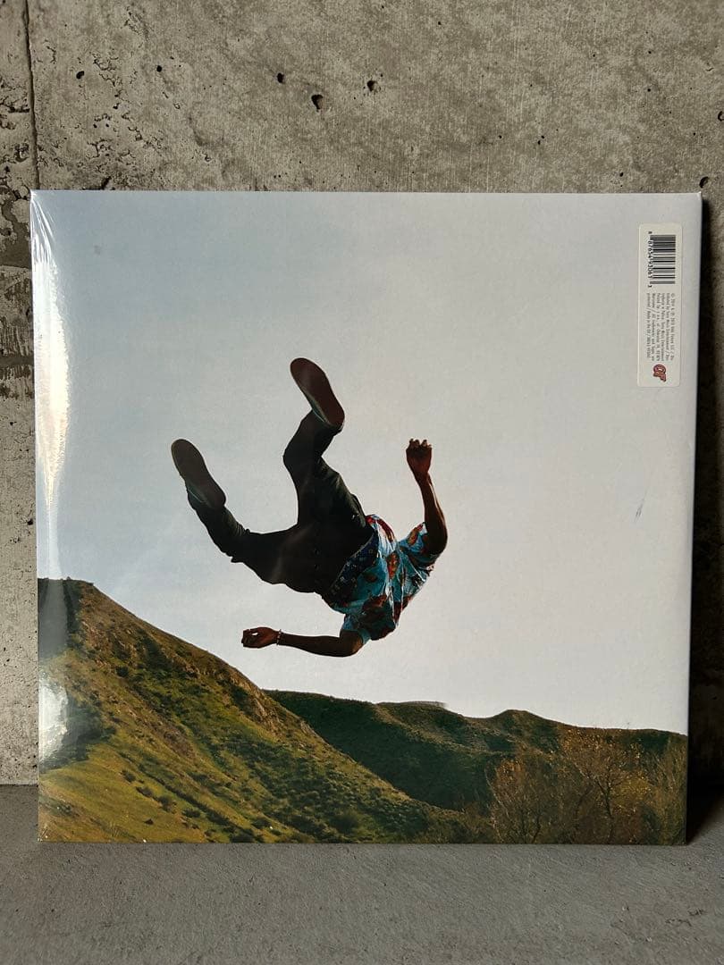 新品未開封　Tyler, the Creator Wolf レコード