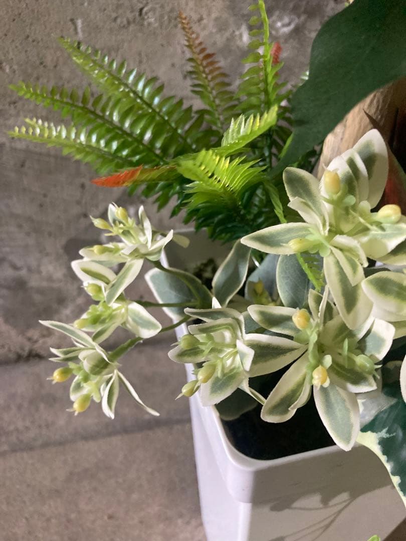 光触媒　人工観葉植物　ウォールグリーン　フェイクグリーン　ベンジャミン11754