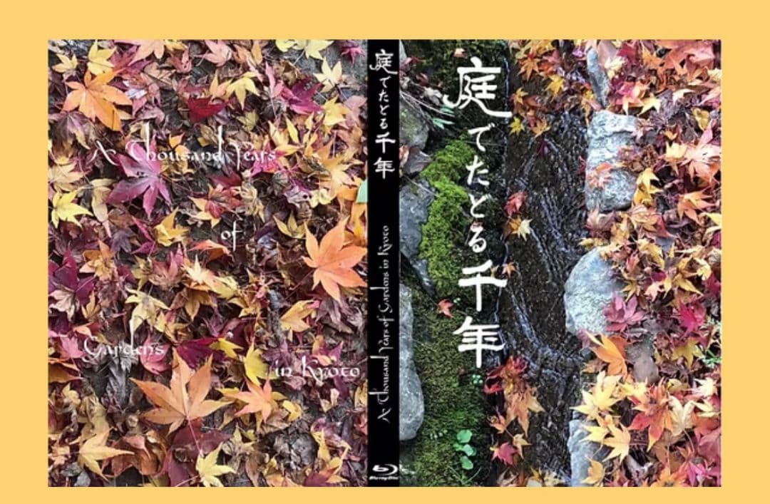 でんでんさん専用※まとめ売り