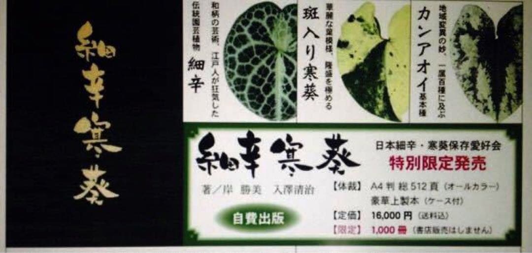 在庫薄　細辛寒葵 1冊　 岸勝美　入澤清治　日本細辛　寒葵保存愛好会
