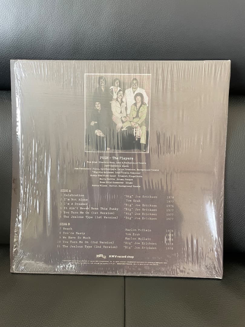 PUSH /You Turn Me On It Ain´t..限定500枚プレス
