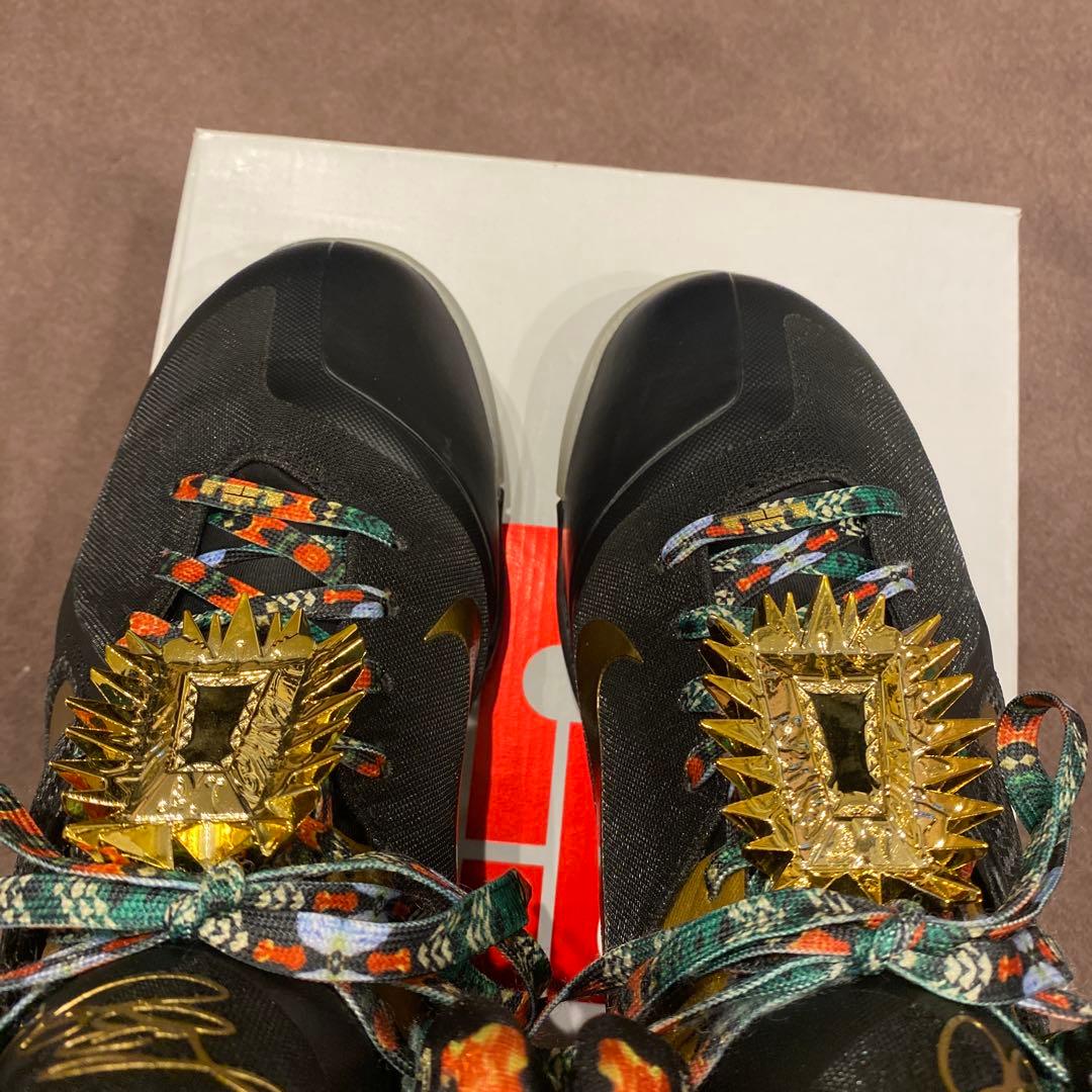 レブロン9 Watch the Throne(2022) 28cm 美品