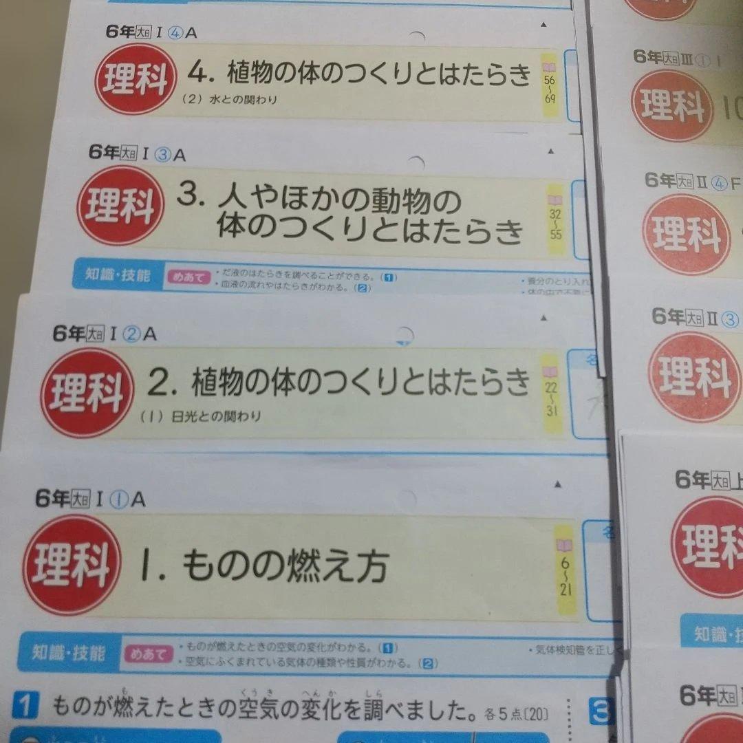 【最新】カラーテスト 小学6年理科 大日本図書