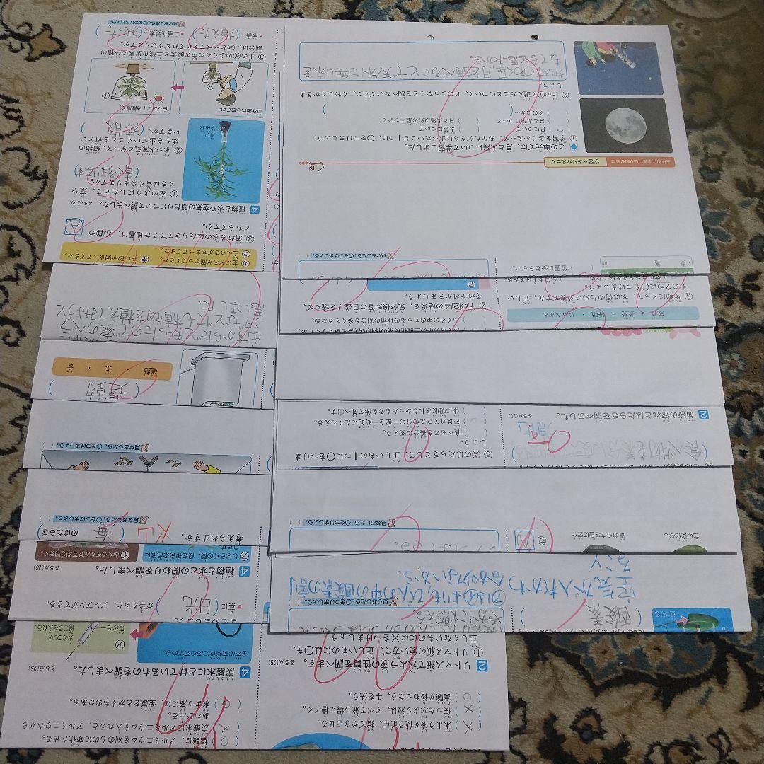 【最新】カラーテスト 小学6年理科 大日本図書