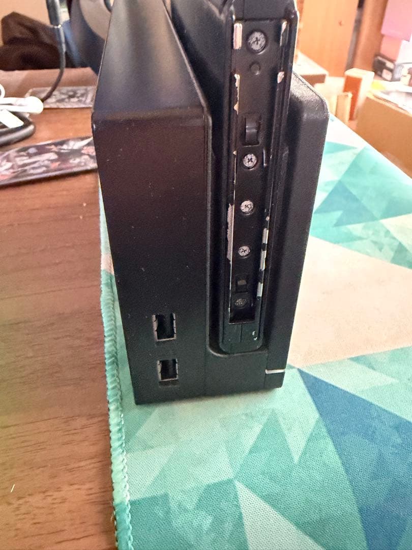 Nintendo Switch 液晶とドッグのみ
