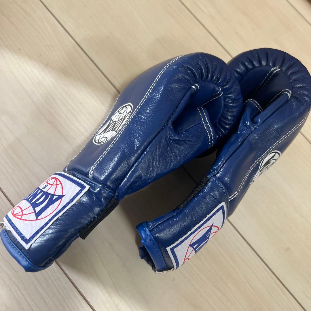 【美品】WINDY TBG2 XS 総合グローブ ブルー