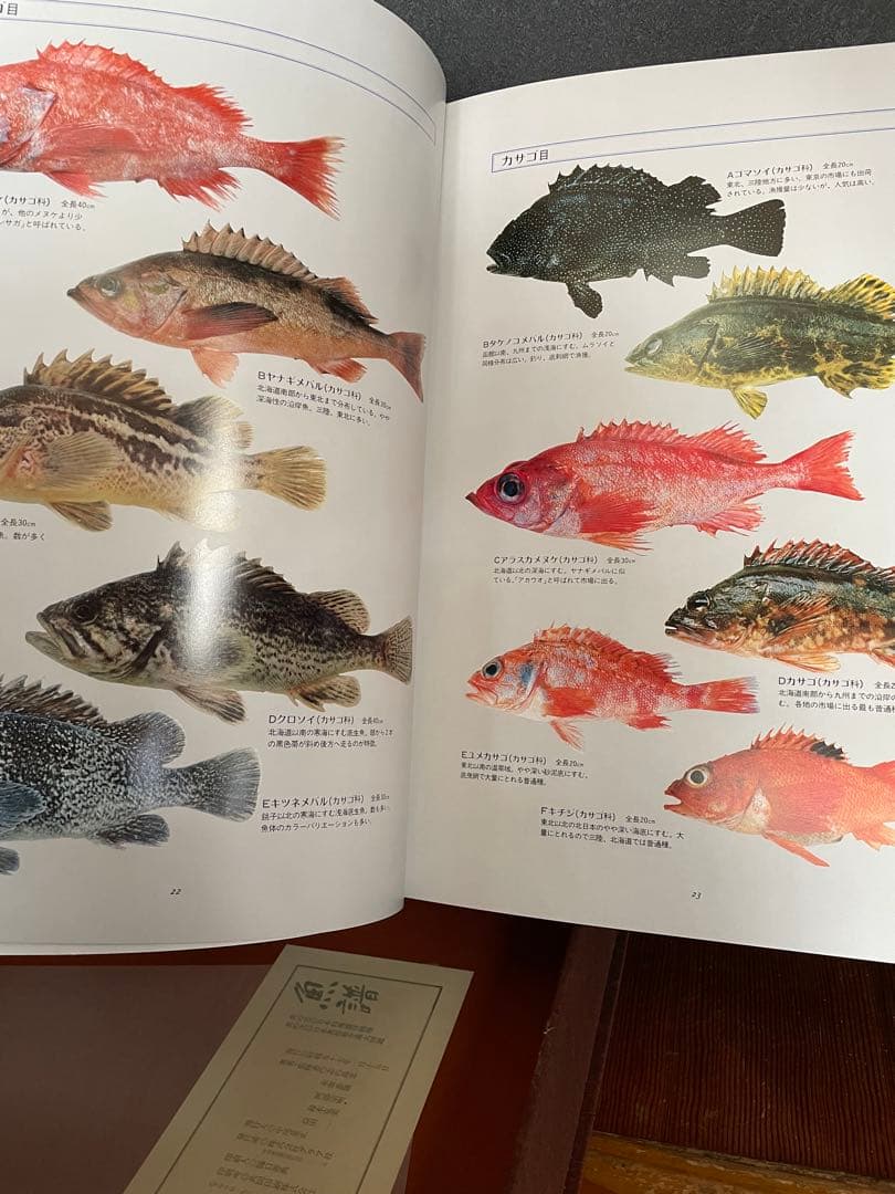 日本料理　魚器図館　捌き方、魚器種類 　　志の島忠　グラフ社刊