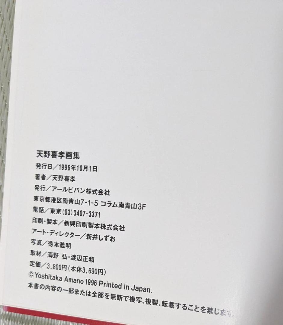 希少【2冊セット】天野喜孝画集 「A｜Y」＆「幻想曲 a fantasia」