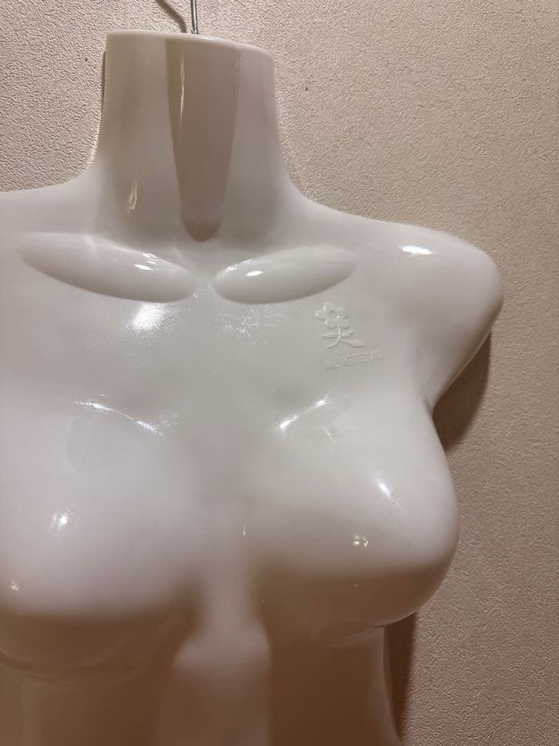 女性用ボディマネキン ホワイト24個セット