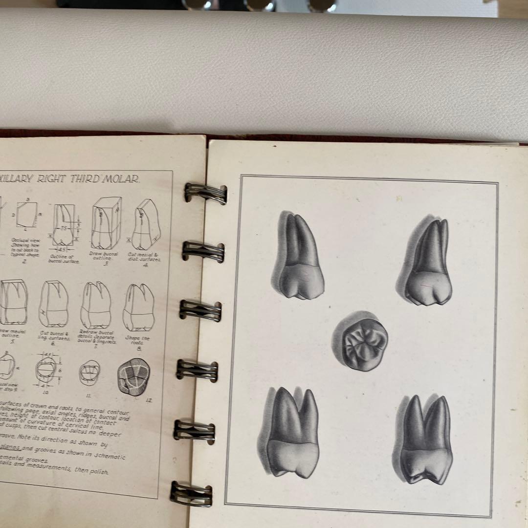 1948-49年 米国歯科 カービング教材 完品