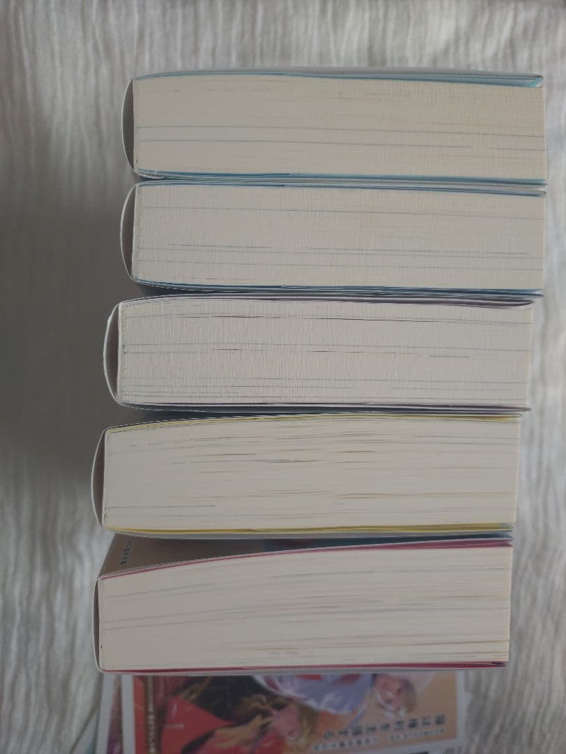 BL 小説 背中を預けるには 完結全5冊 特典つき