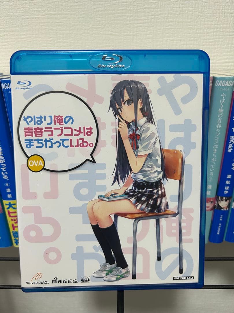 やはり俺の青春ラブコメは間違っている