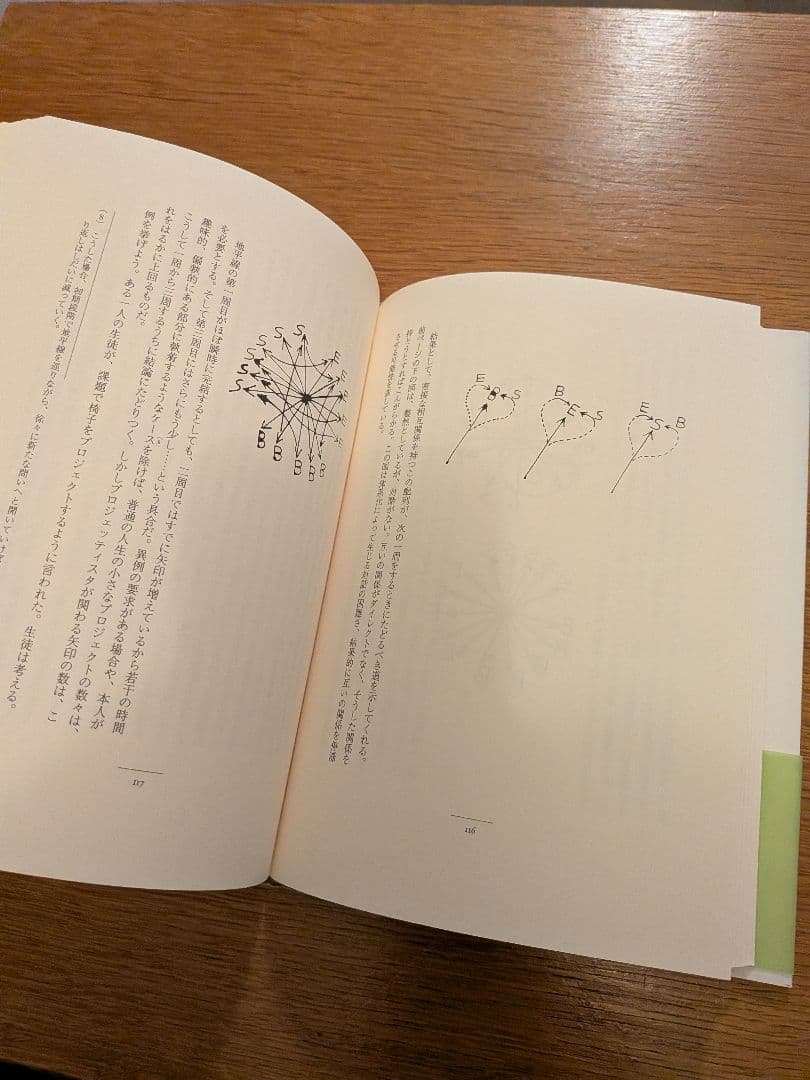 プロジェクトとパッション エンツォ・マーリ