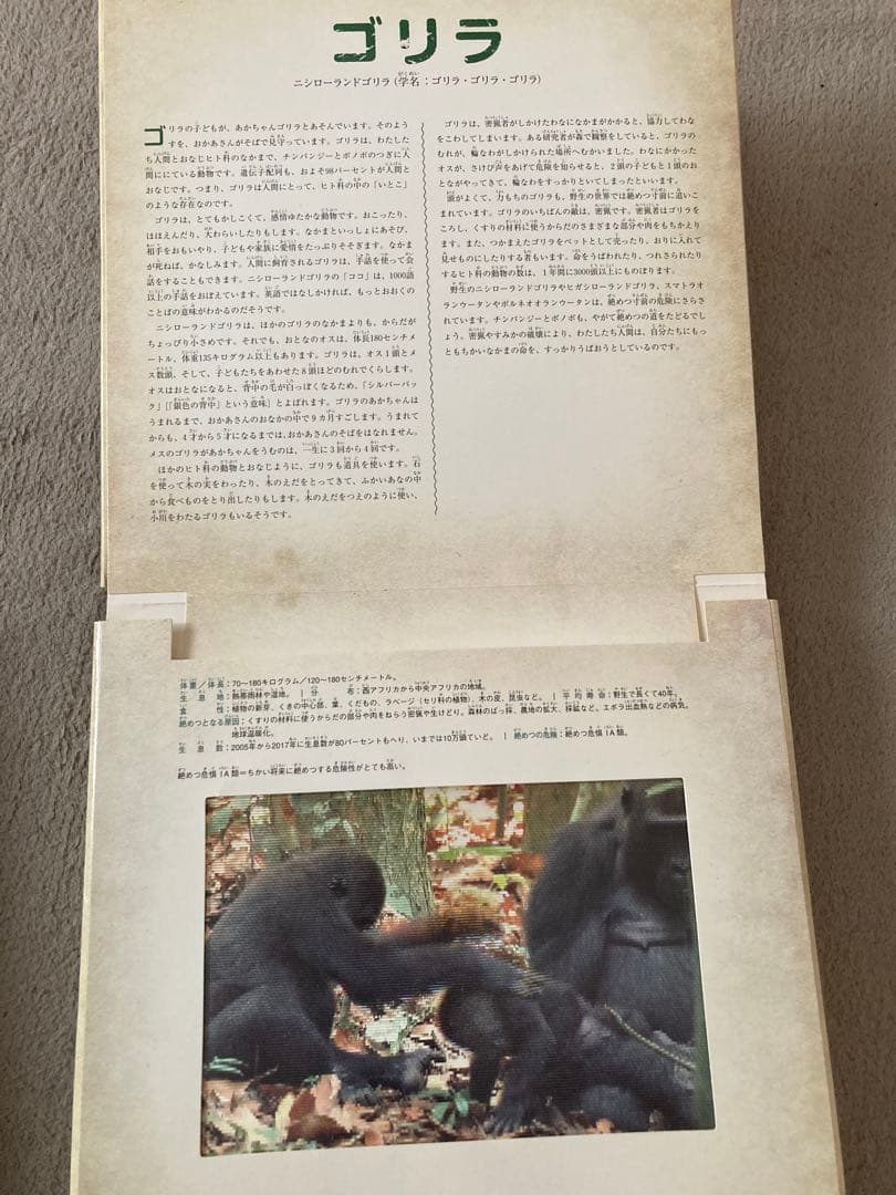 動物　写真が動く しかけ絵本　動く絵本　図鑑