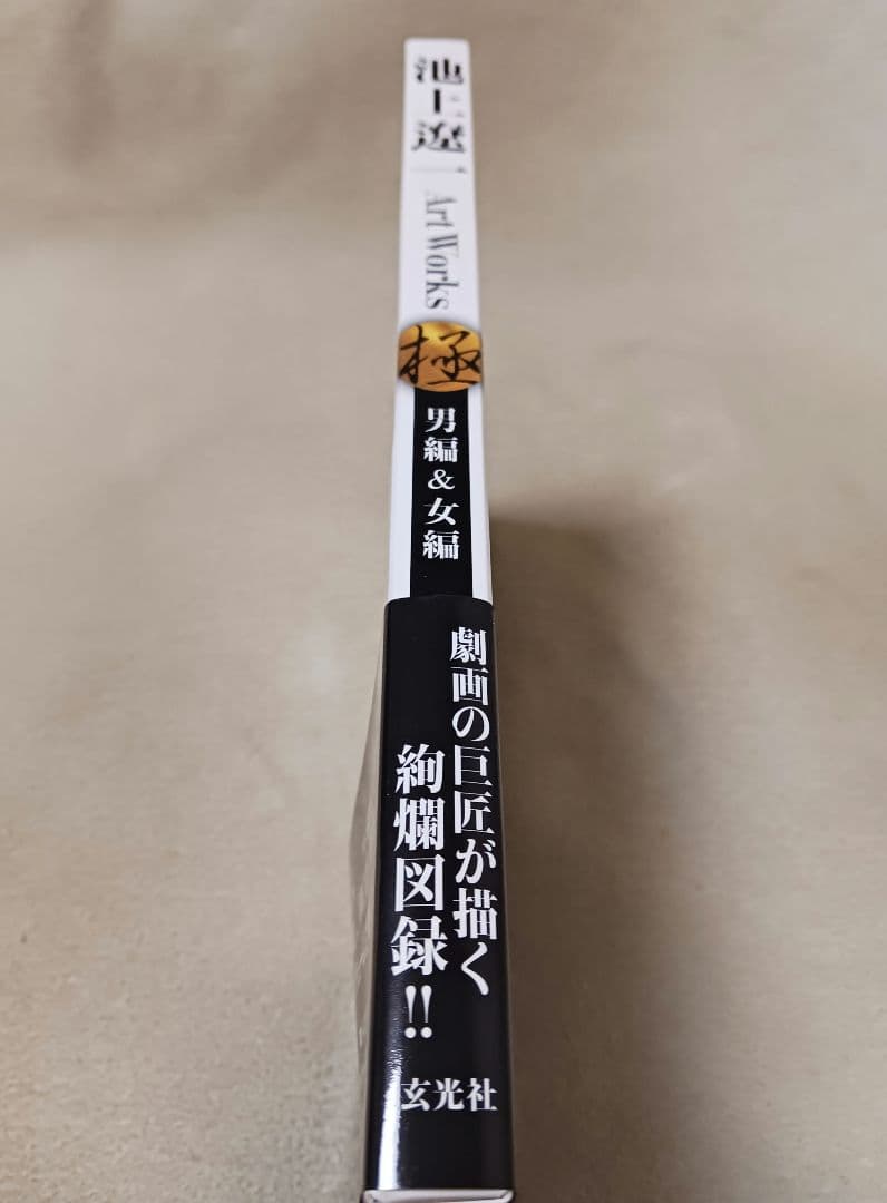 池上遼一 Art Works 男編&女編